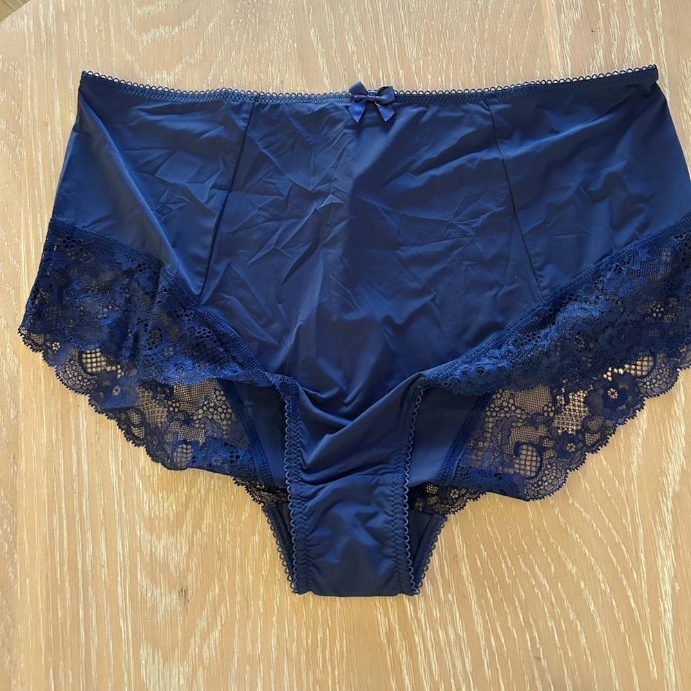 Sculptresse By Panache Women's Sasha High Waist Brief, Ink, X-Large, NWT